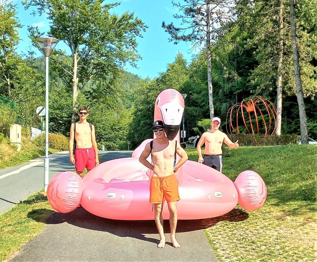 Apartments Am See 클로파인 암 클로파이너 제 외부 사진